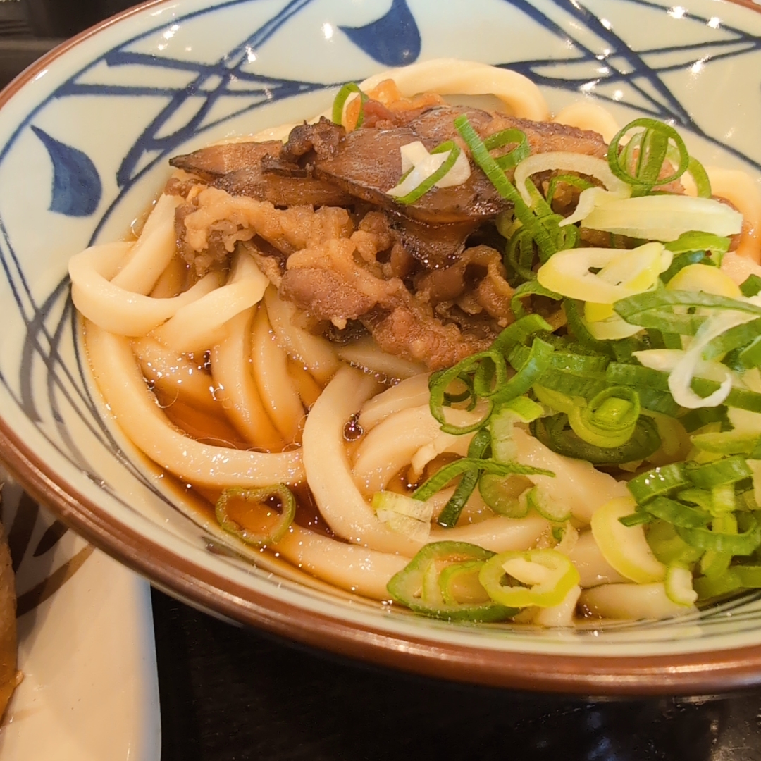 丸亀製麺でいただいた、ごぼうとお肉、ねぎがのったぶっかけうどん。